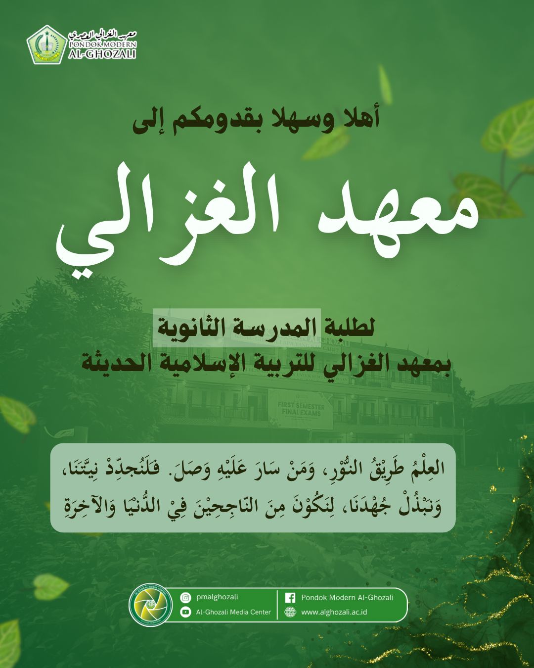 WhatsApp Image 2025-07-12 at 10.54.04.jpeg